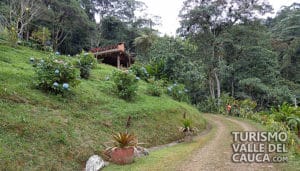 Finca Alejandría el Paraíso de los Colibríes - Foto 10