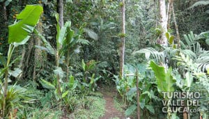 Finca Alejandría el Paraíso de los Colibríes - Foto 2