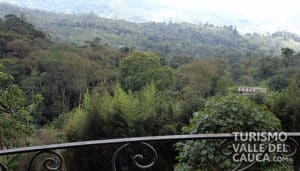 Finca Alejandría el Paraíso de los Colibríes - Foto 5