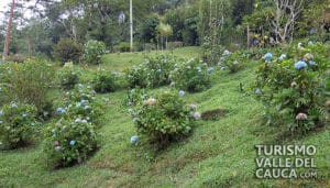 Finca Alejandría el Paraíso de los Colibríes - Foto 7