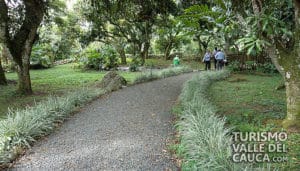 Hacienda El Paraíso - Foto 8