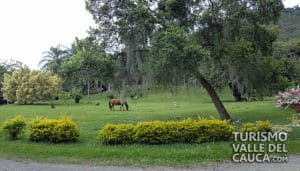 Jardín botánico Juan María Céspedes - Foto 1