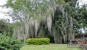 Jardín botánico Juan María Céspedes - Foto 2