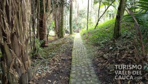 Jardín botánico Juan María Céspedes - Foto 4