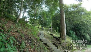 Jardín botánico Juan María Céspedes - Foto 7