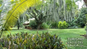 Museo de la Caña de Azúcar - Foto 5