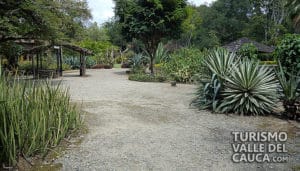 Museo de la Caña de Azúcar - Foto 8