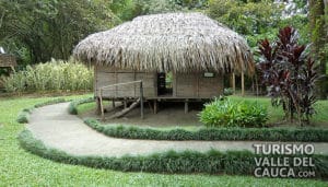 Museo de la Caña de Azúcar - Foto 11