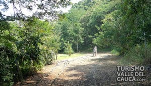 Parque Natural Regional El Vínculo - Foto 12