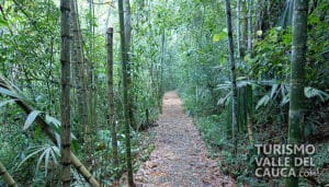 Parque Natural Regional El Vínculo - Foto 13