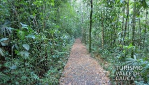 Parque Natural Regional El Vínculo - Foto 6