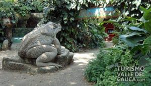 Zoológico de Cali - Foto 18