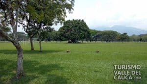 Comfandi Pance Centro Campestre - Foto 27
