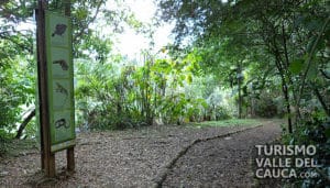 Lago de las Garzas Ecoparque - Foto 4
