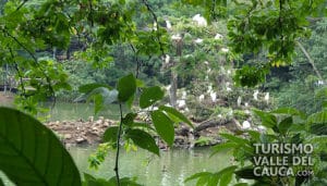 Lago de las Garzas Ecoparque - Foto 5