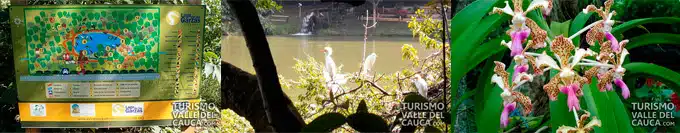 ecoparque lago de las garzas