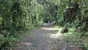 El Topacio - Foto 2