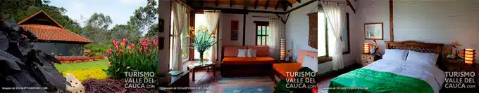 eucaliptus resort