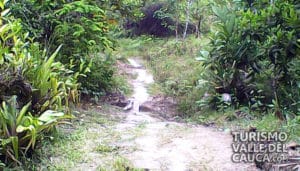 Bahía del Sol Ladrilleros Hotel - Foto 5