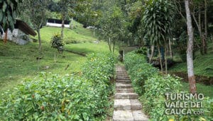La Chorrera del Indio - Foto 9