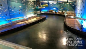 Museo Departamental de Ciencias Naturales - Foto 16