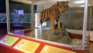 Museo Departamental de Ciencias Naturales - Foto 1