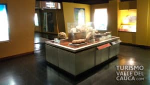 Museo Departamental de Ciencias Naturales - Foto 4
