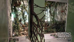 Museo Departamental de Ciencias Naturales - Foto 5