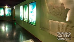 Museo Departamental de Ciencias Naturales - Foto 6