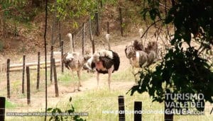 Parque Nacional de la Uva - Foto 13