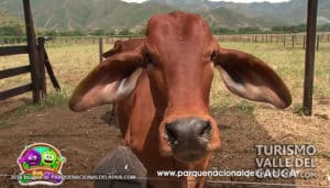 Parque Nacional de la Uva - Foto 18