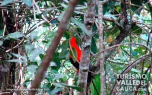 Bichacue Yath Arte y Naturaleza - Foto 11