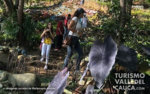 Andoke Butterfly Farm, Cali - Foto 11