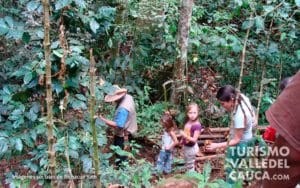Bichacue Yath Arte y Naturaleza - Foto 14