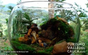 Bichacue Yath Arte y Naturaleza - Foto 3