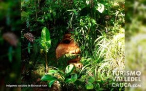 Bichacue Yath Arte y Naturaleza - Foto 4