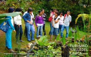 Andoke Butterfly Farm, Cali - Foto 4