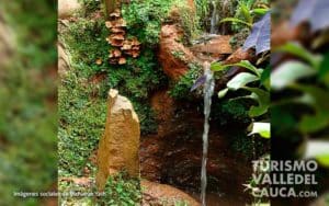 Bichacue Yath Arte y Naturaleza - Foto 5