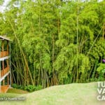 5-foto-la-huerta-hotel-lago-calima-darien-turismo-valle-del-cauca