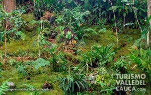 Bichacue Yath Arte y Naturaleza - Foto 8