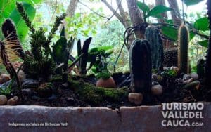 Bichacue Yath Arte y Naturaleza - Foto 10