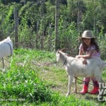 9-foto-la-huerta-hotel-lago-calima-darien-turismo-valle-del-cauca