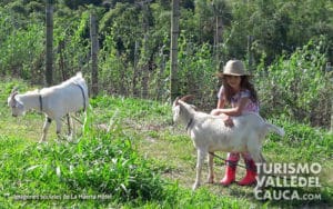 La Huerta Hotel Lago Calima - Foto 10