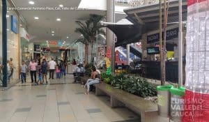 Centro Comercial Palmetto Plaza - Foto 2