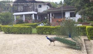 Finca Hotel Campestre Villa Heidy - Foto 8
