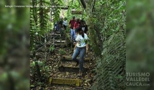 Refugio Corazones Verdes - Foto 6