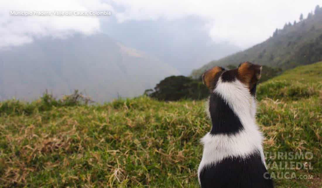 Foto municipio pradera turismo valle del cauca colombia