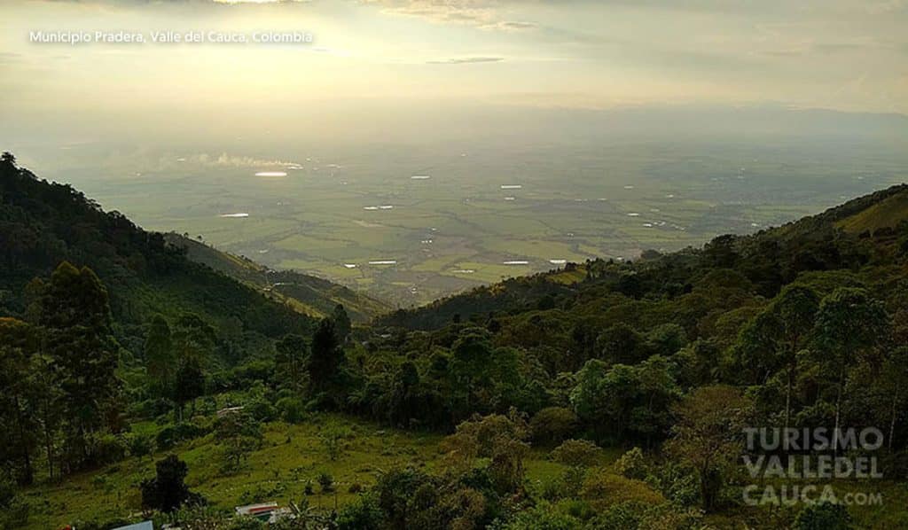 Ingenio Castilla Pradera Valle Del Cauca