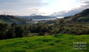 La Reserva Nacional Forestal Bosque de Yotoco - Foto 11