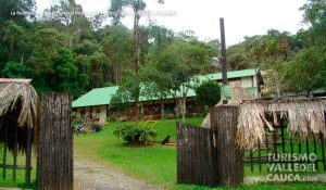 La Reserva Nacional Forestal Bosque de Yotoco - Foto 13